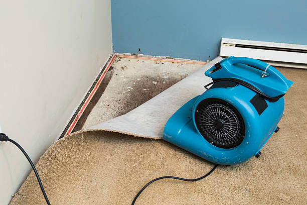 Best Flood damage cleanup  in Chanute, KS
